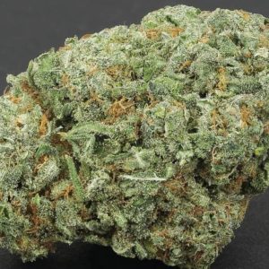Grease Monkey