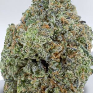 Jungle cake