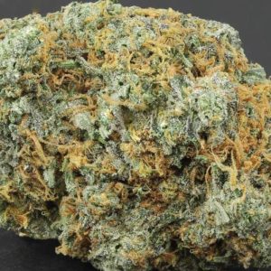 Pink Champagne