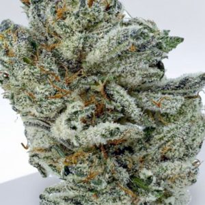 Tropical