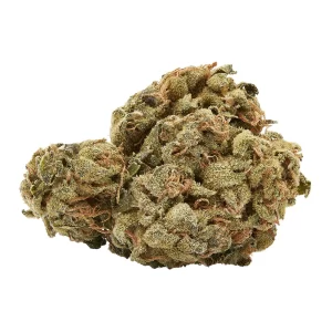 Hindu