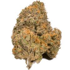Rock Bud